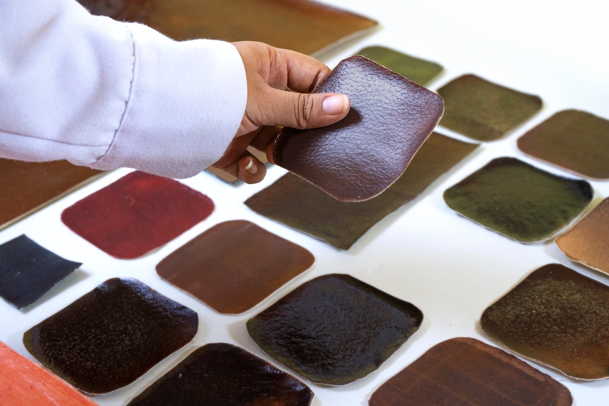 Shiringa Bioleather samples in a range of earthy colours and leather-like finishes demonstrate the creative possibilities of plant-derived materials.